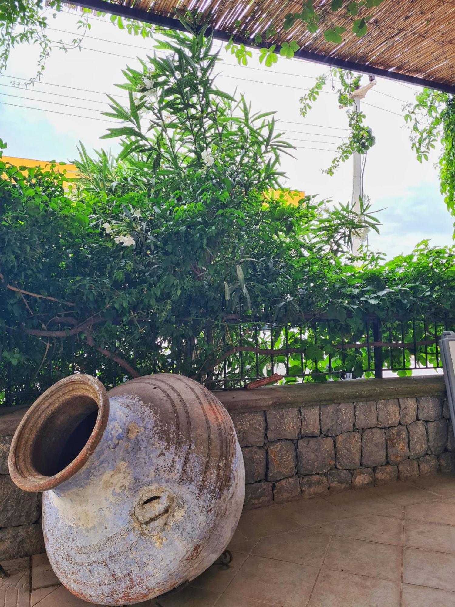 Fora Apart Otel Çeşme Esterno foto